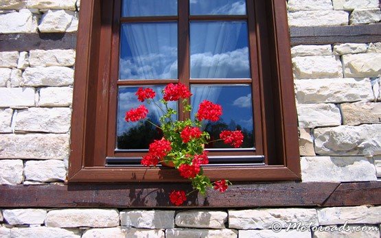 Blume in einem Koprivshtitsa-Haus