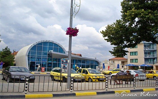 Bus Station, Obzor