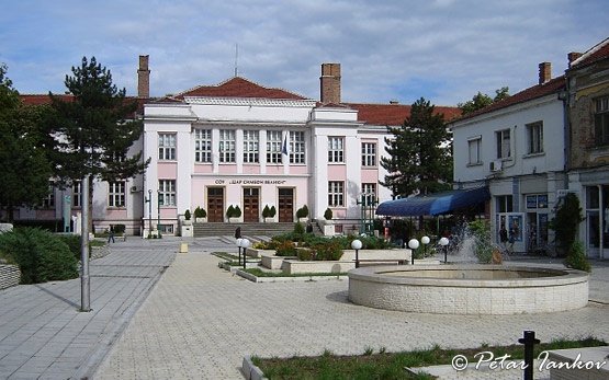 School in Vidin